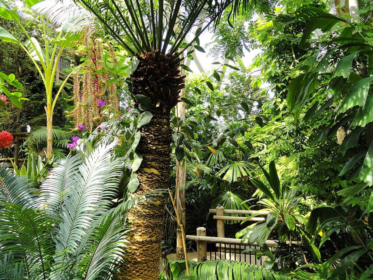Denver Botanic Gardens — destination photograph