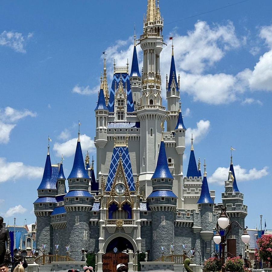 Walt Disney World — destination photograph