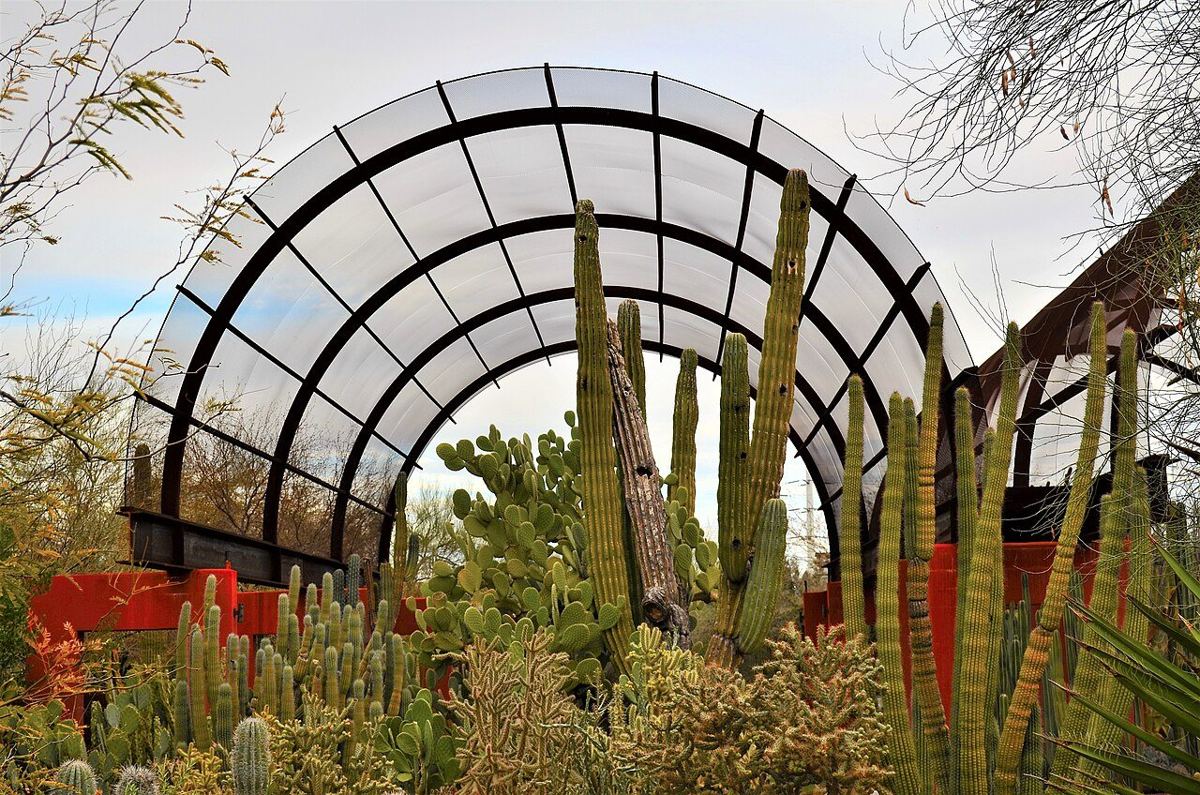 Desert Botanical Garden — destination photograph