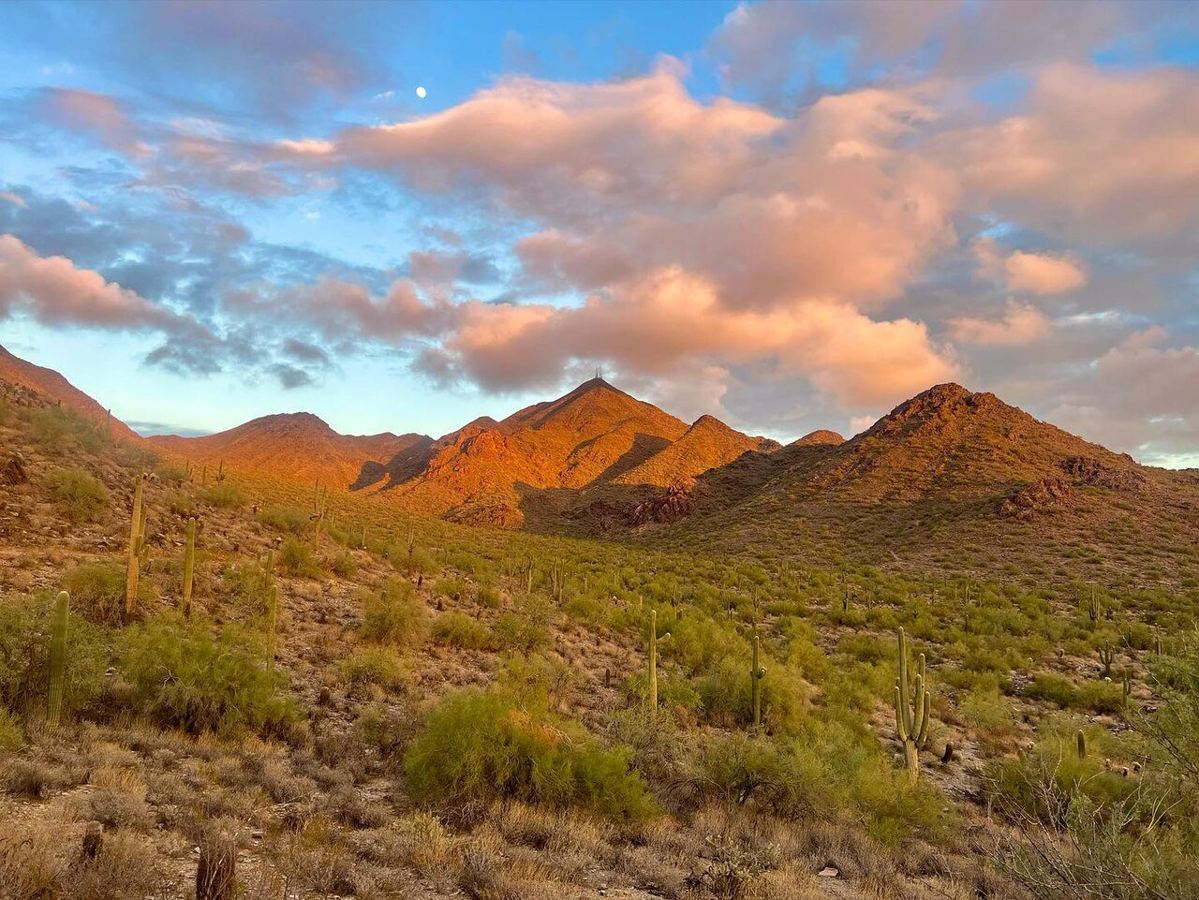 McDowell Sonoran Preserve — destination photograph